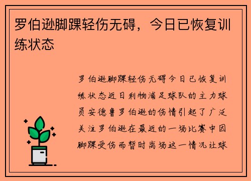 罗伯逊脚踝轻伤无碍，今日已恢复训练状态
